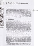 The Social Organization of Honeybees