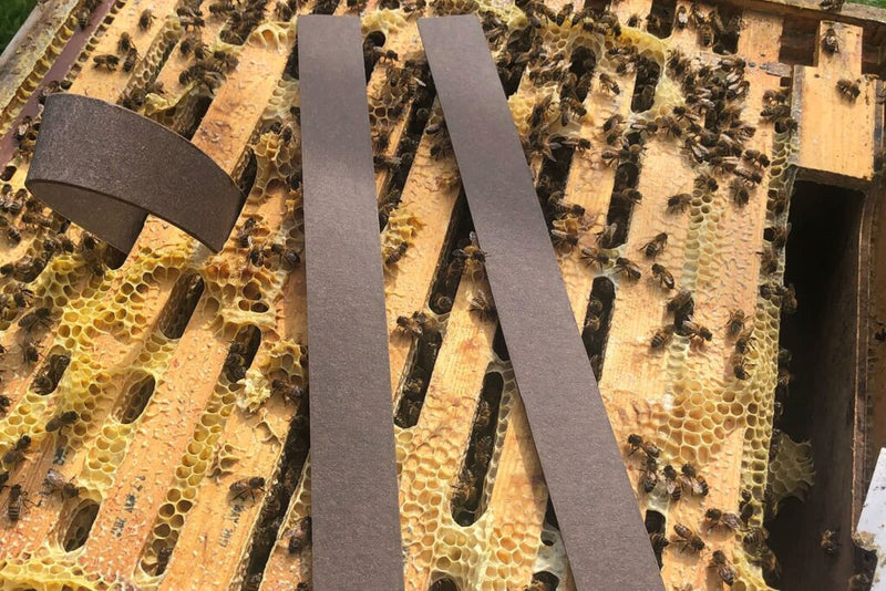 VarroxSan Mite Treatment