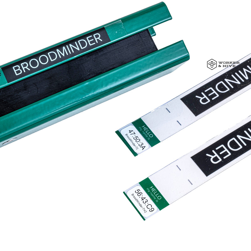 BroodMinder W5 Citizen Science Kit