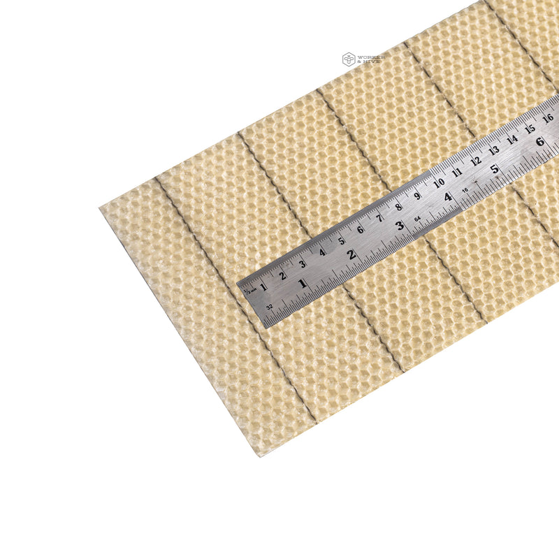 Wired Wax Foundation (Medium, No Hook)