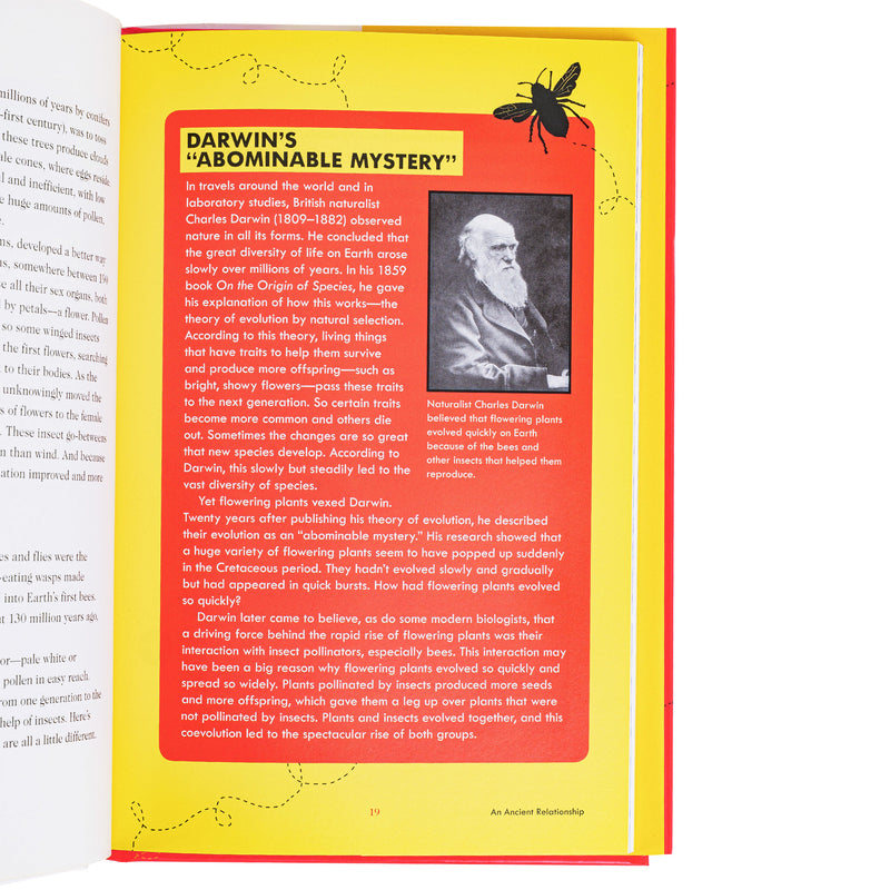Where Have All the Bees Gone? by Rebecca E Hirsch