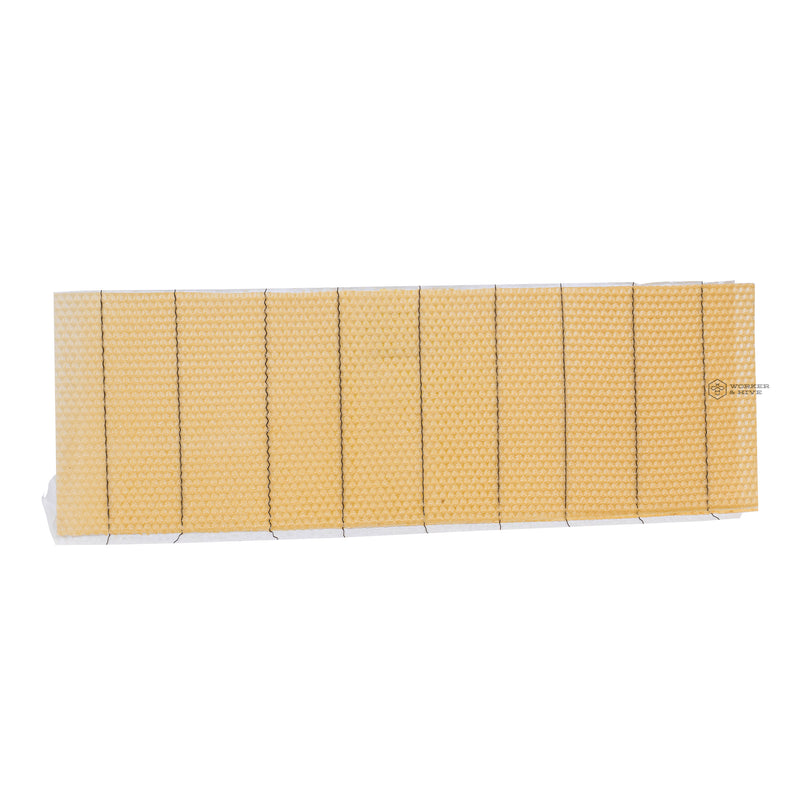 Wired Wax Foundation (Medium, Long Hook)