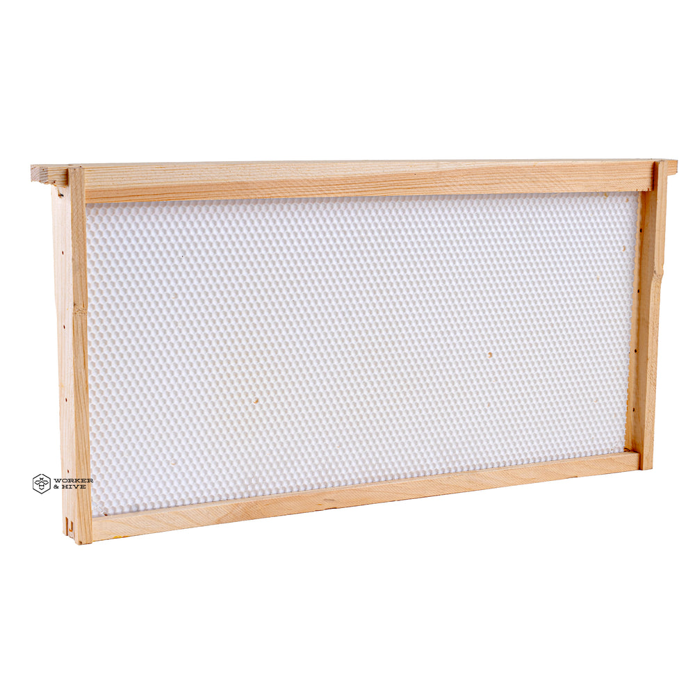 Assembled Deep Frame with White Foundation