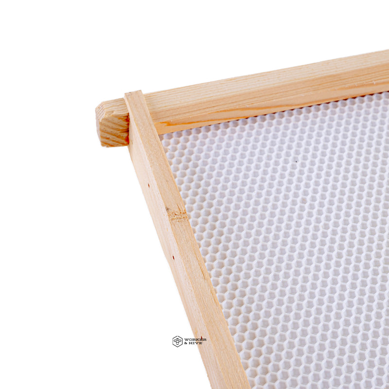 Assembled Deep Frame with White Foundation