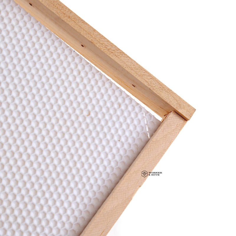 Assembled Deep Frame with White Foundation