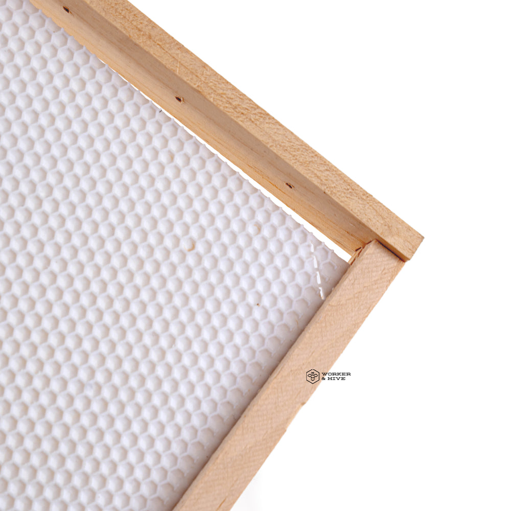 Assembled Deep Frame with White Foundation