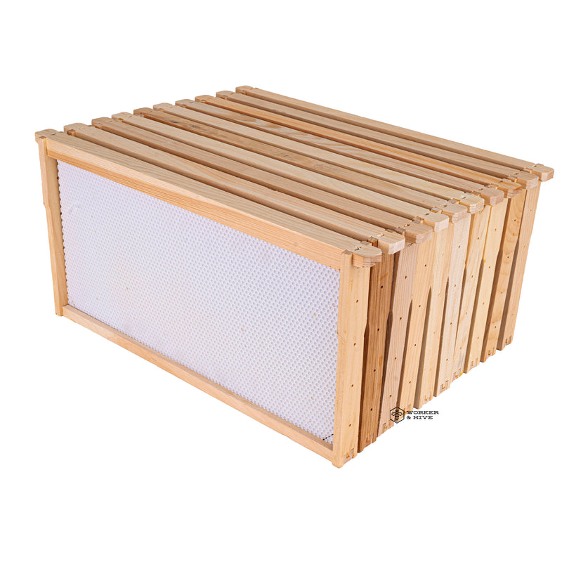 Assembled Deep Frame with White Foundation