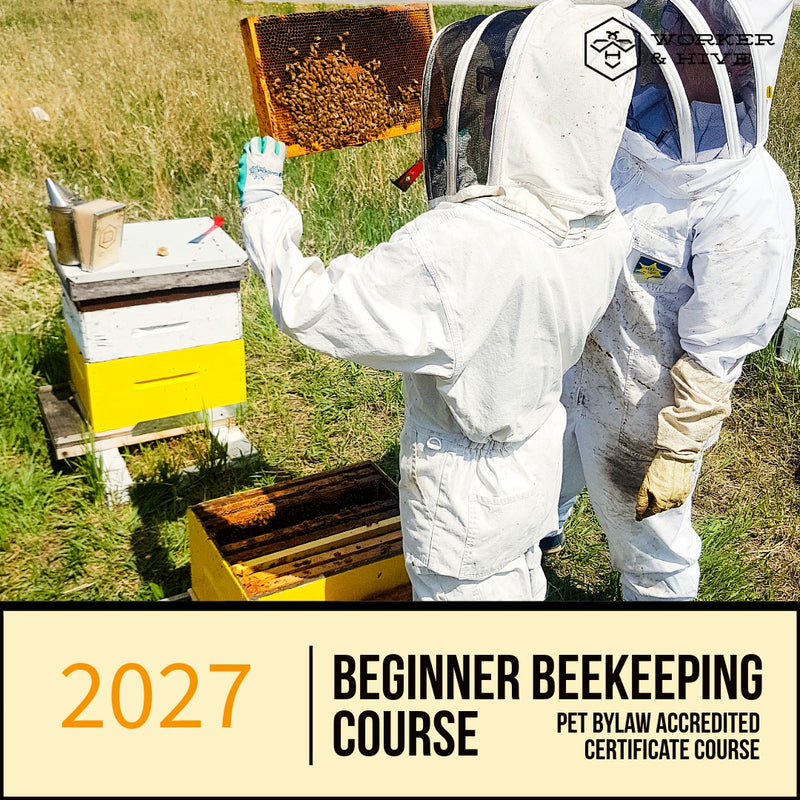 Beginner Beekeeping Course