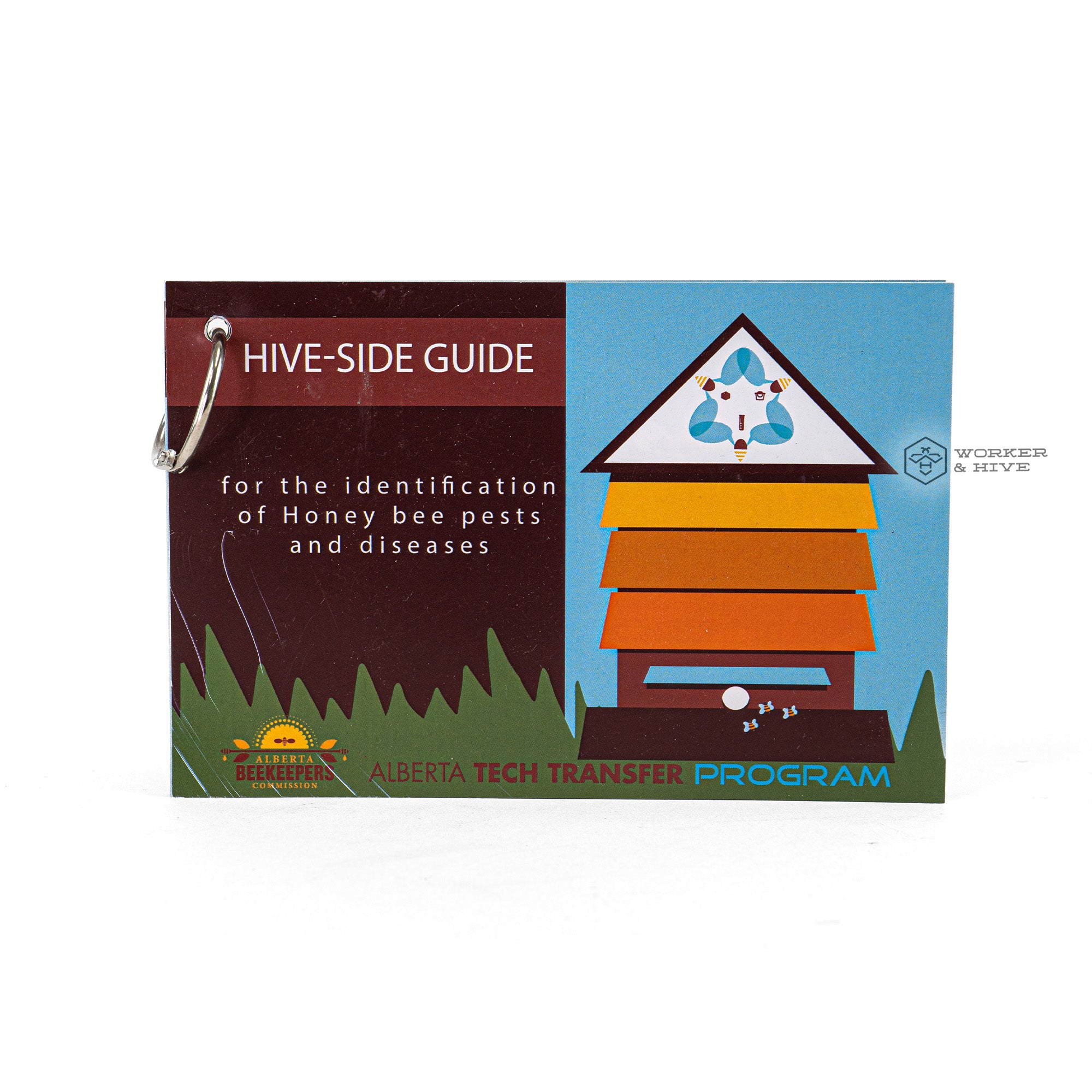 Hive Side Guide — Worker and Hive Bee Supply