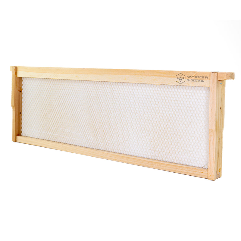 Assembled Medium Frame with White Foundation