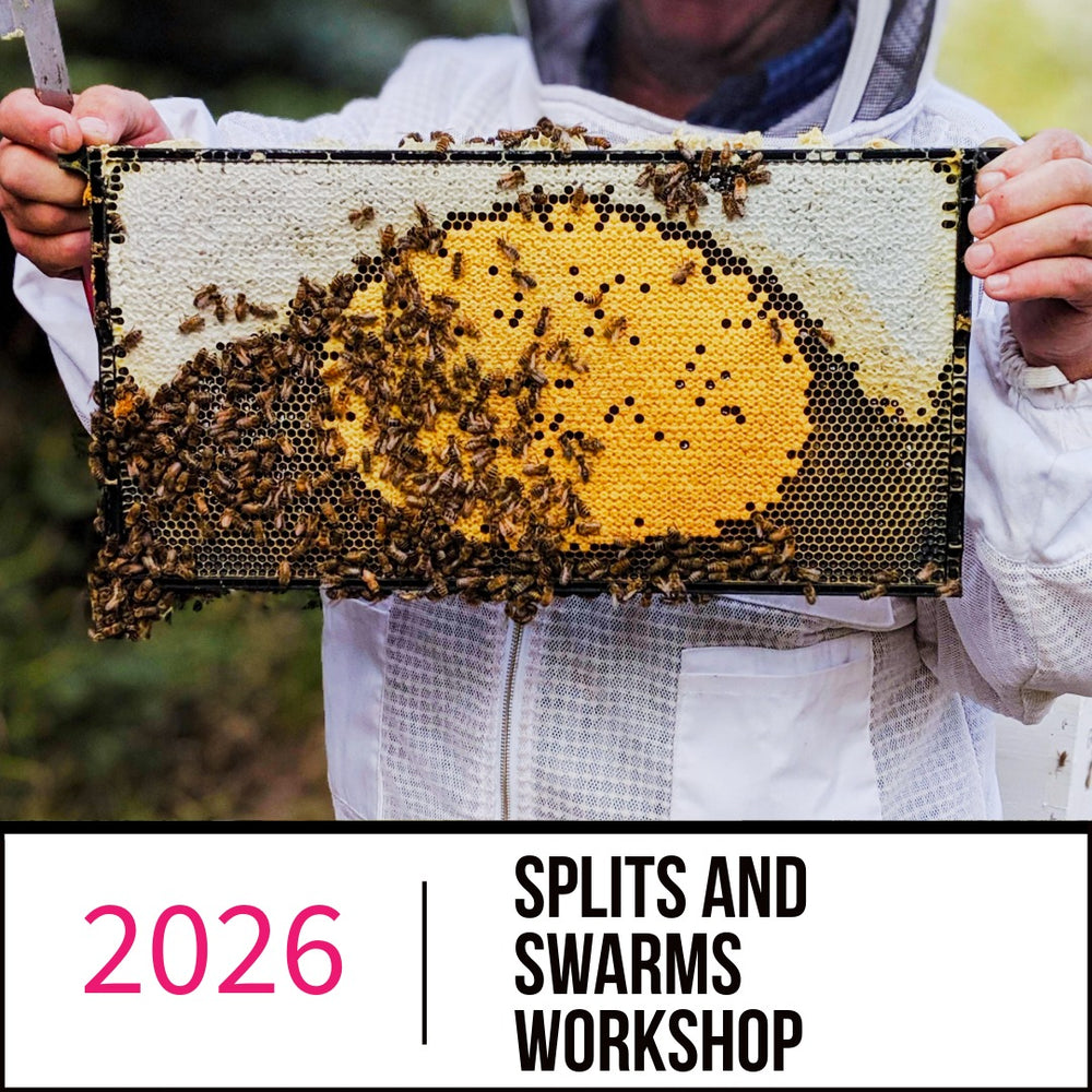 Splits and Swarms Workshop