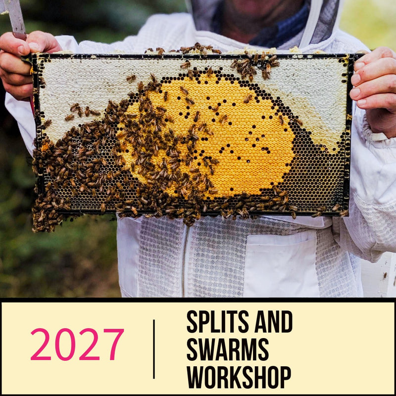 Splits and Swarms Workshop