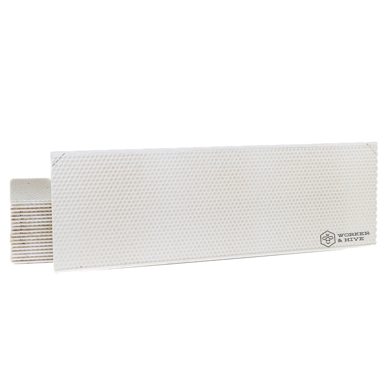 Canacell 6" (Medium) White Plastic Foundation