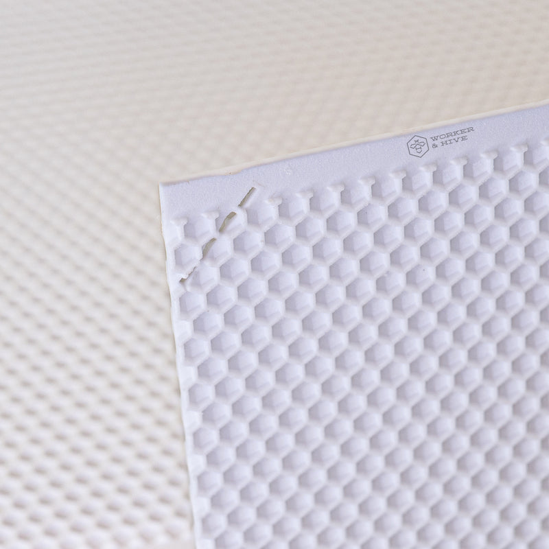 Canacell 6" (Medium) White Plastic Foundation