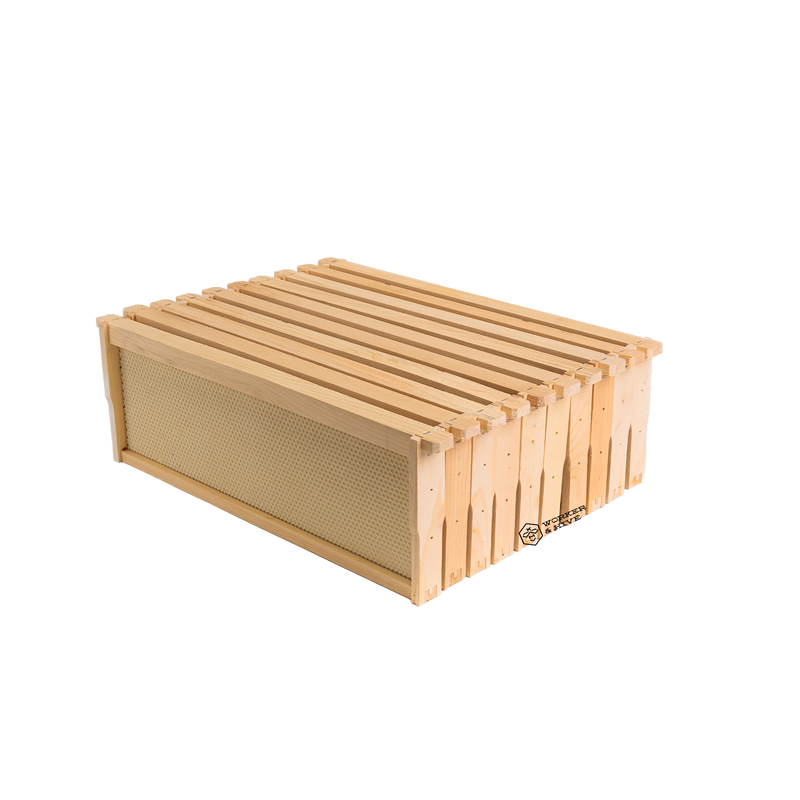 Assembled Medium Frame with White Foundation