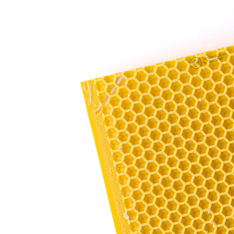 Canacell 9" (Deep) Yellow Plastic Foundation