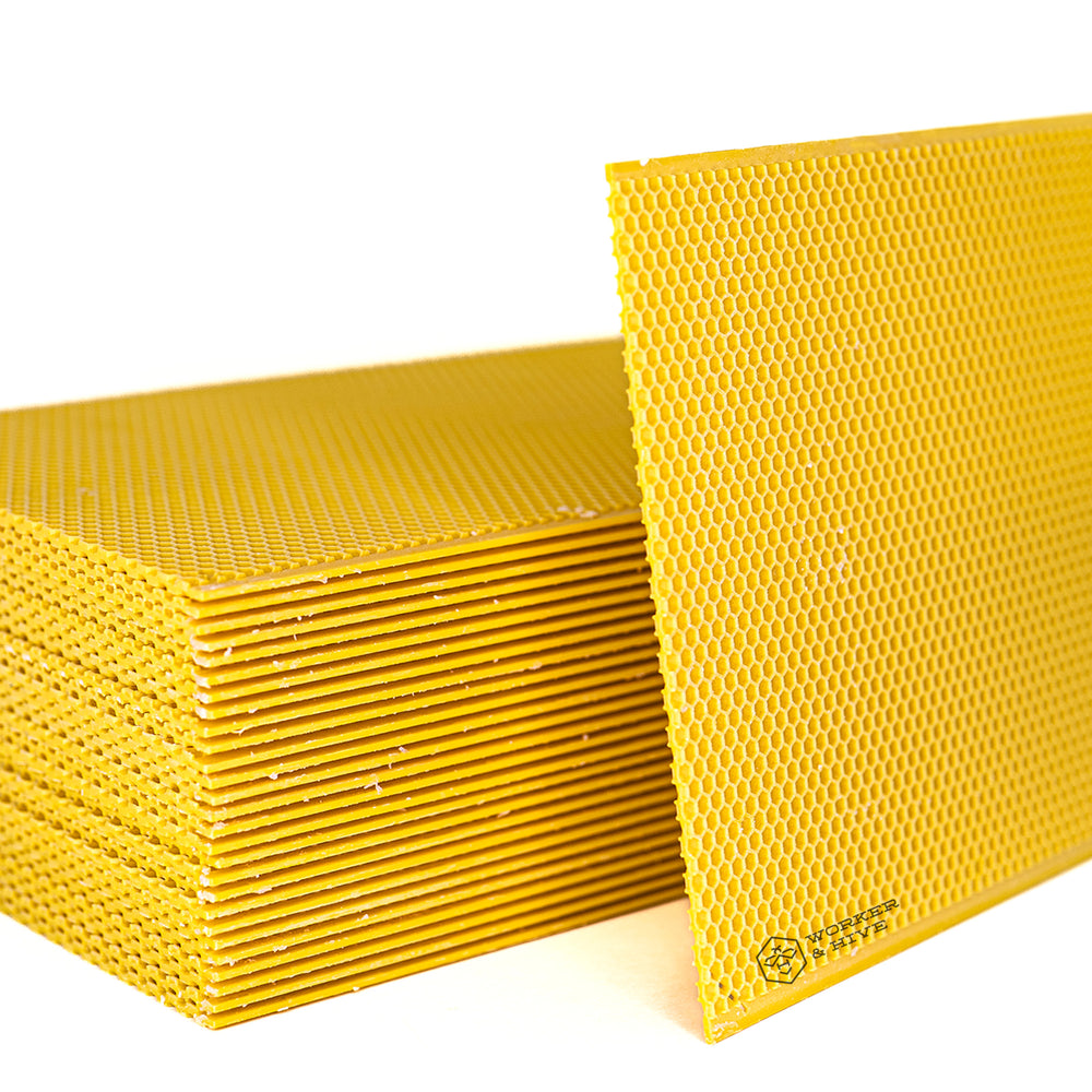 Canacell 9" (Deep) Yellow Plastic Foundation