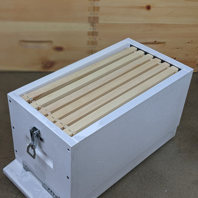 Lyson 6 Frame Nucleus Polystyrene Hive Kit