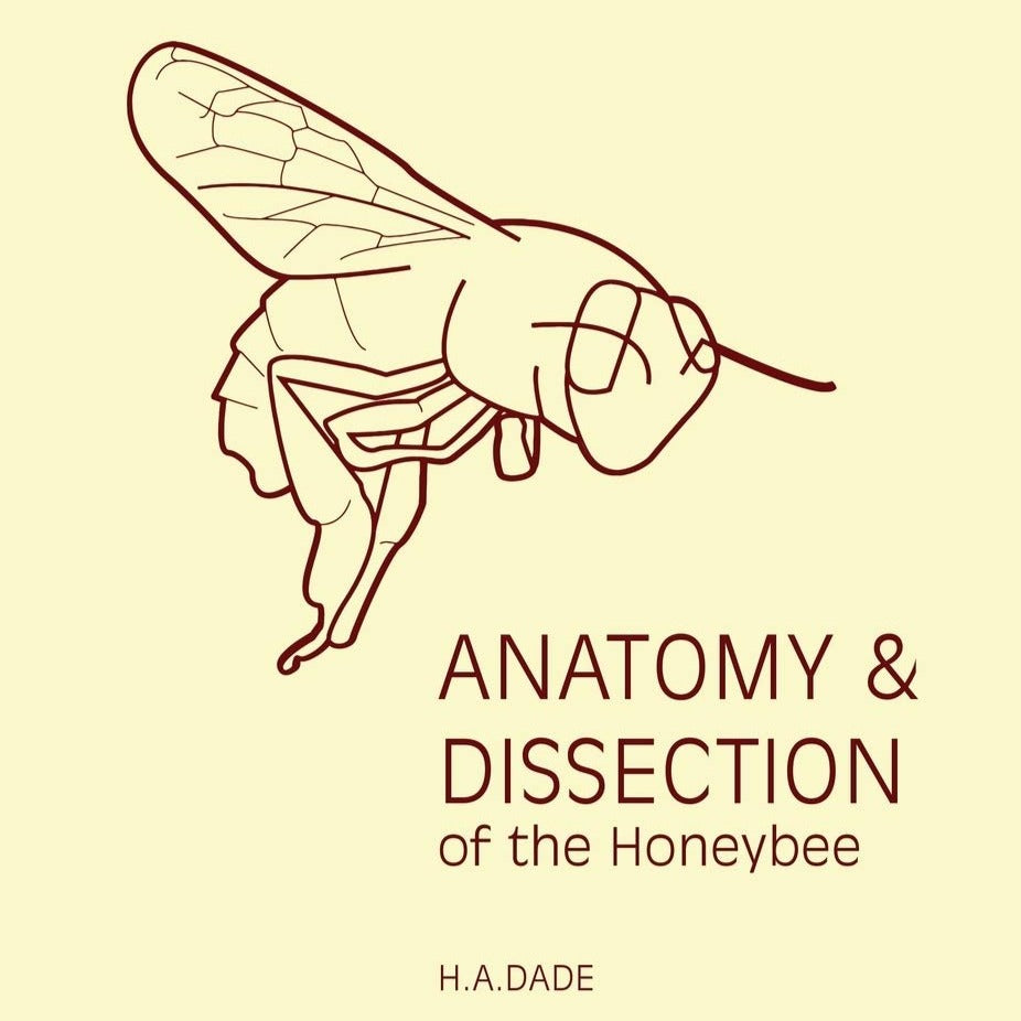 Anatomy and Dissection of the Honeybee (2017 Reprint)
