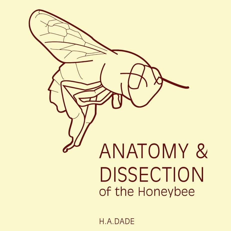 Anatomy and Dissection of the Honeybee (2017 Reprint) – Worker and Hive ...
