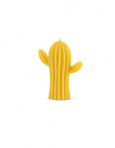 Cactus Candle Mold