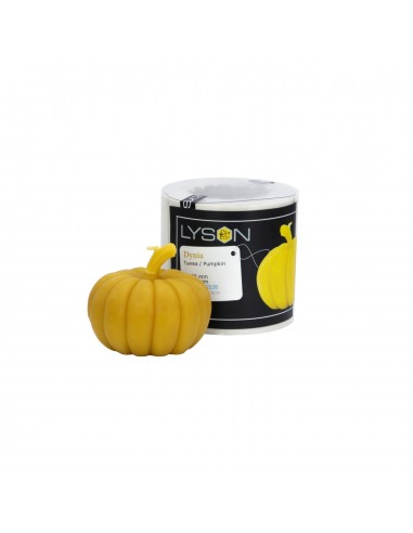Pumpkin Candle Mold