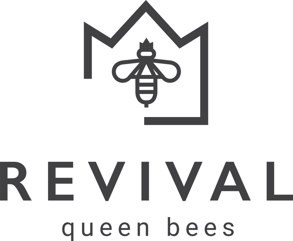 Revival Queen Bees - Locally Mated Queens 2024