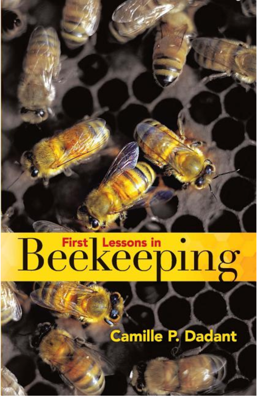First Lessons in Beekeeping by Camille P. Dadant