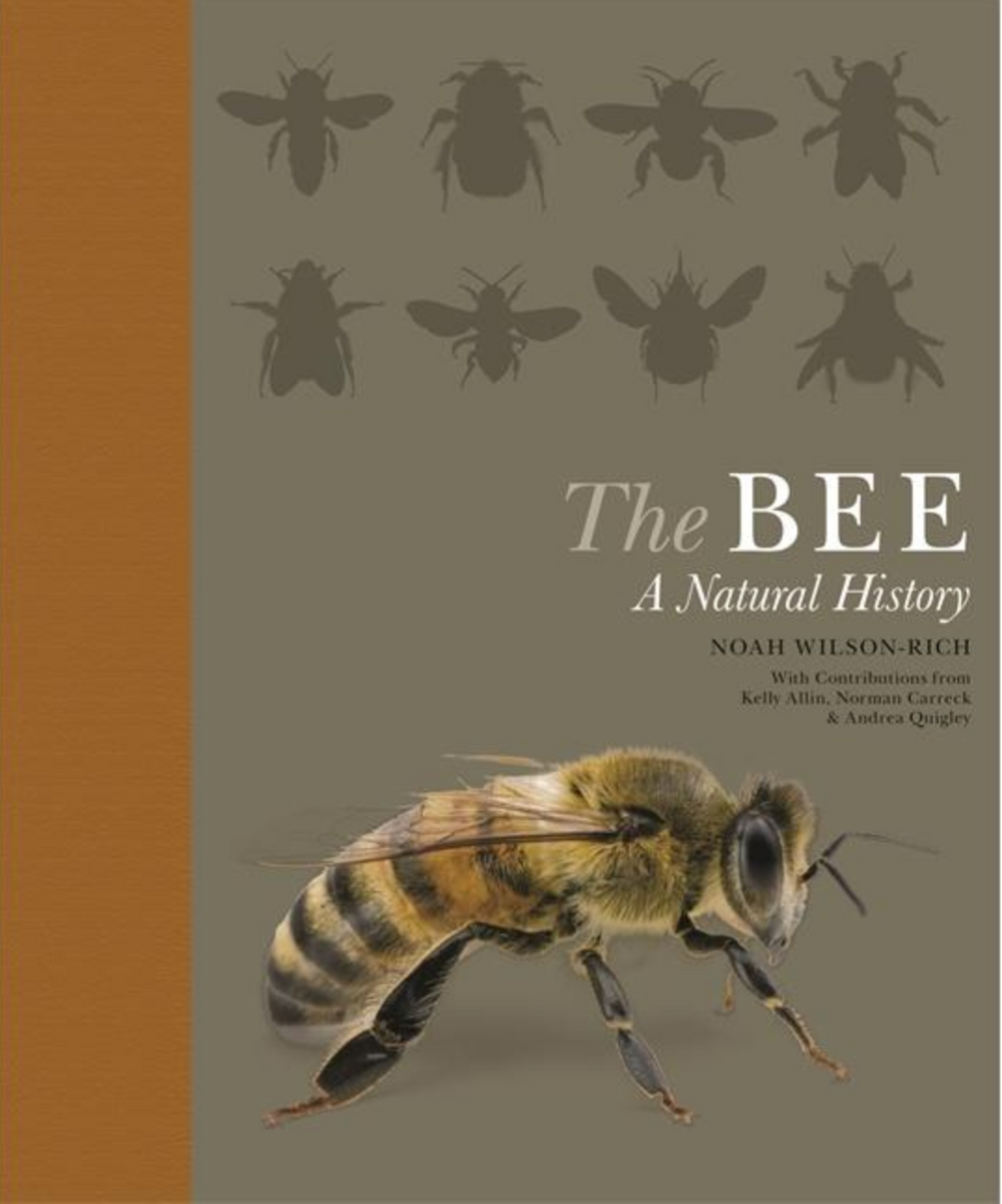 The BEE A Natural History By Noah Wilson-Rich