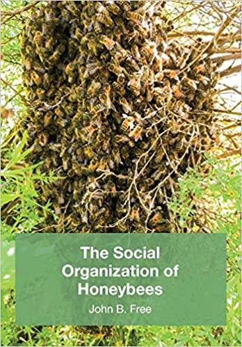 The Social Organization of Honeybees