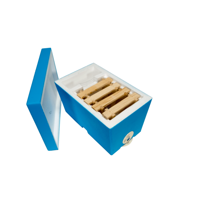 Mini Mating Hive, (polystyrene)