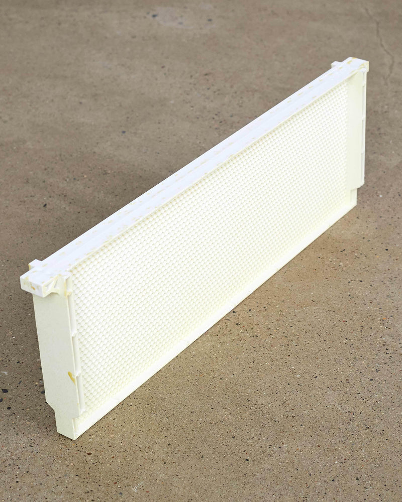 6 1/4" (Medium) White One Piece Plastic Frame