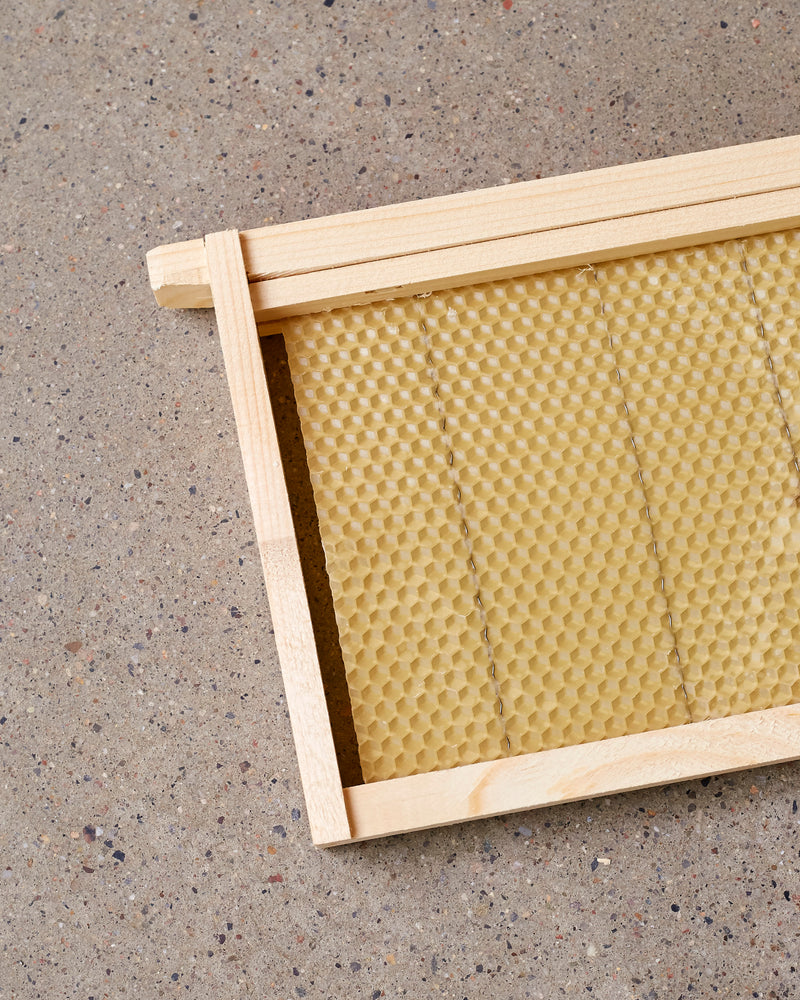 Wired Wax Foundation (Medium, No Hook)