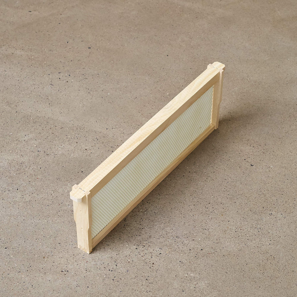 Assembled Medium Frame with White Foundation