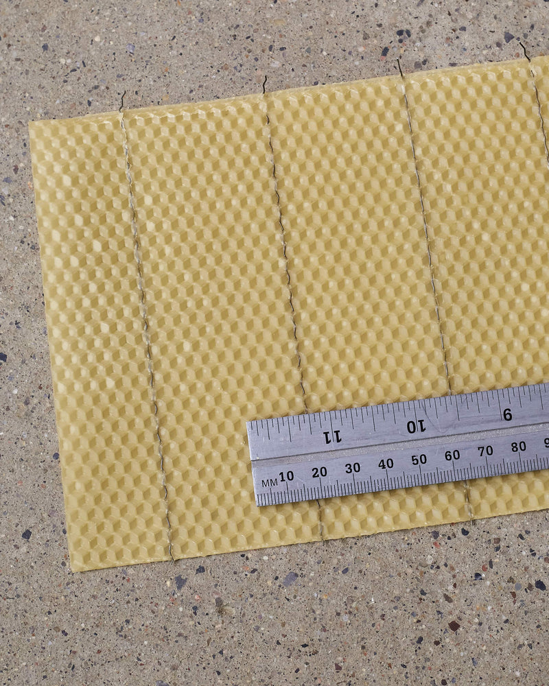 Wired Wax Foundation - Small Cell  (Medium, Long Hook)