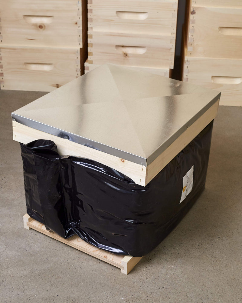 10 Frame Bee Cozy Winter Wrap