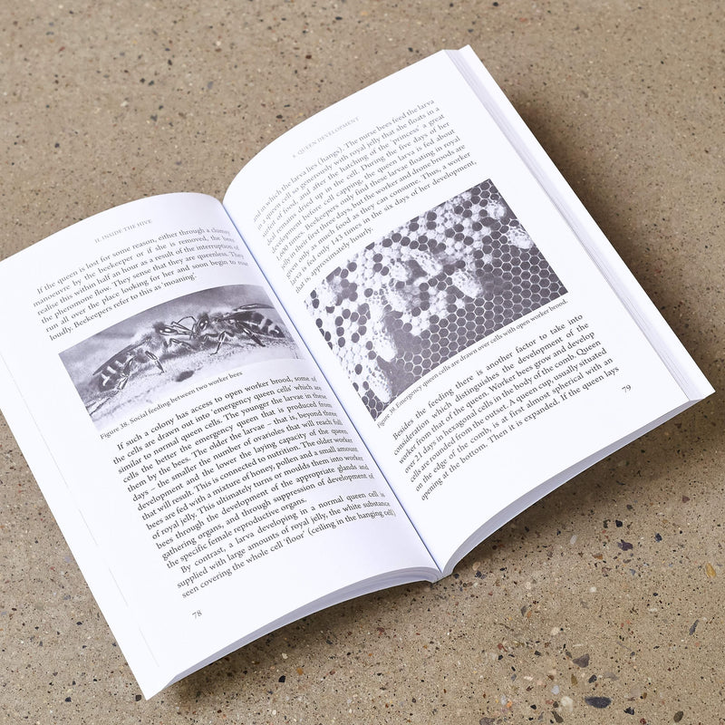 The Secrets of Bees - An Insider's Guide to the Life of Honeybees