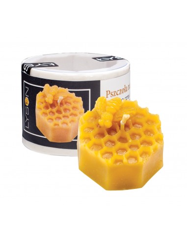 Bee on Honeycomb Candle Mold