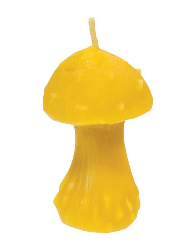 Mushroom Candle Mold
